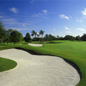 Florida Golf Course - Bayou Club
