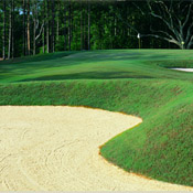 Mississippi Golf Course - Oaks Golf Club