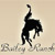 Bailey Ranch Golf Club - Golf Course
