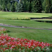 Utah Golf Course - Park Meadows Golf Club