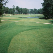 Virginia Golf Course - Colonial Golf Course