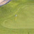 MeadowWood Golf Course - Golf Course